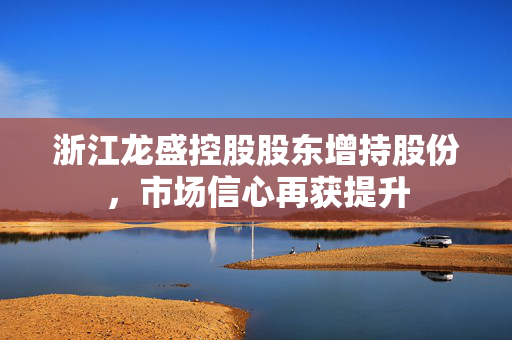 浙江龙盛控股股东增持股份，市场信心再获提升