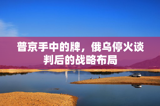 普京手中的牌，俄乌停火谈判后的战略布局