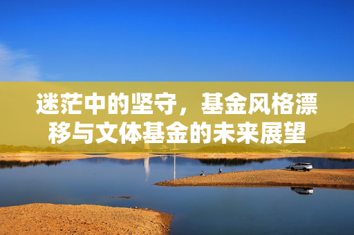 迷茫中的坚守，基金风格漂移与文体基金的未来展望