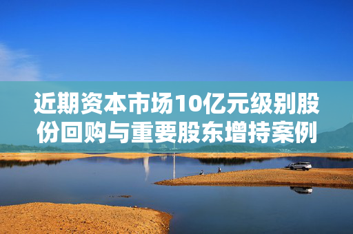近期资本市场10亿元级别股份回购与重要股东增持案例深度解析