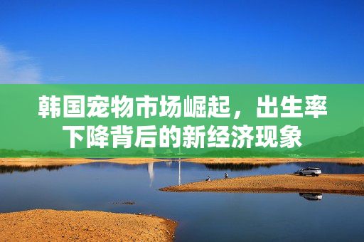 韩国宠物市场崛起，出生率下降背后的新经济现象