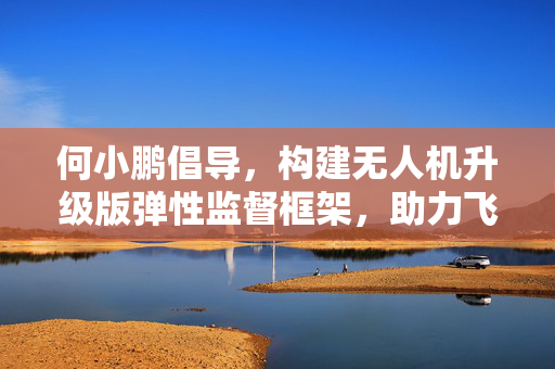 何小鹏倡导，构建无人机升级版弹性监督框架，助力飞行汽车行业稳健发展