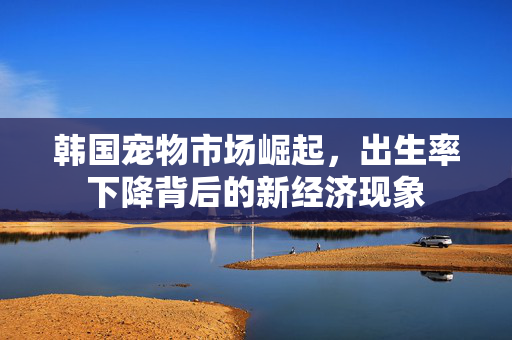 韩国宠物市场崛起，出生率下降背后的新经济现象