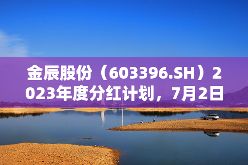 金辰股份（603396.SH）2023年度分红计划，7月2日每股派息0.2元的深度解析