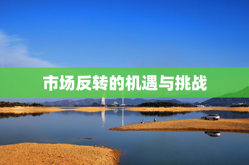 市场反转的机遇与挑战