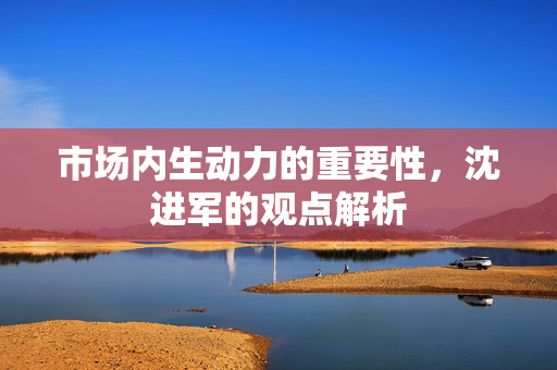 市场内生动力的重要性，沈进军的观点解析