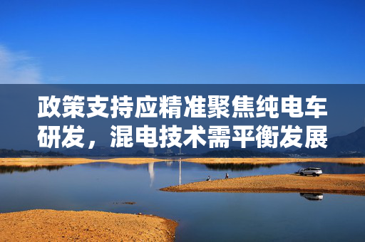 政策支持应精准聚焦纯电车研发，混电技术需平衡发展——汽车流通协会会长观点