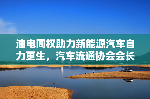 油电同权助力新能源汽车自力更生，汽车流通协会会长坚定支持