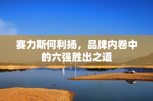 赛力斯何利扬，品牌内卷中的六强胜出之道