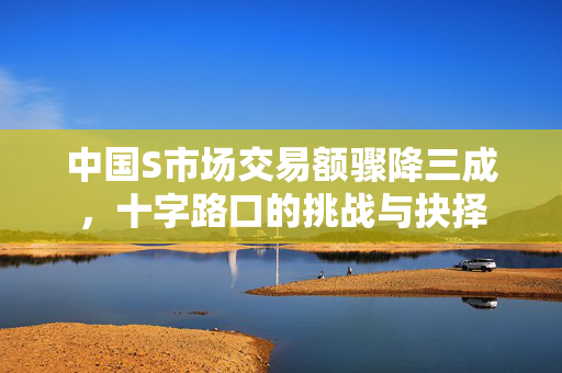 中国S市场交易额骤降三成，十字路口的挑战与抉择