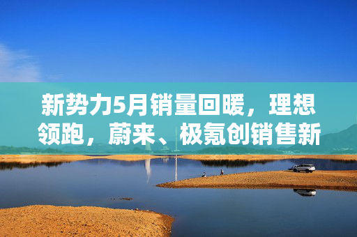 新势力5月销量回暖，理想领跑，蔚来、极氪创销售新高