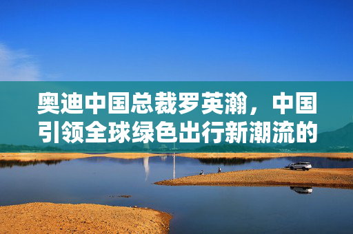 奥迪中国总裁罗英瀚，中国引领全球绿色出行新潮流的电动车产业先锋