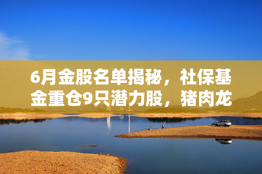6月金股名单揭秘，社保基金重仓9只潜力股，猪肉龙头备受青睐