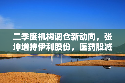 二季度机构调仓新动向，张坤增持伊利股份，医药股减持潮涌现，高盛聚焦小盘股