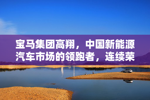 宝马集团高翔，中国新能源汽车市场的领跑者，连续荣登中国豪华乘用车市场年度销冠，累计交付超40万辆