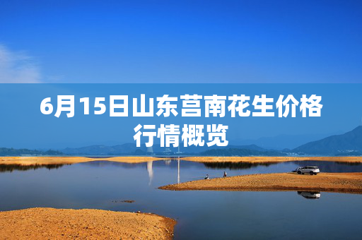 6月15日山东莒南花生价格行情概览