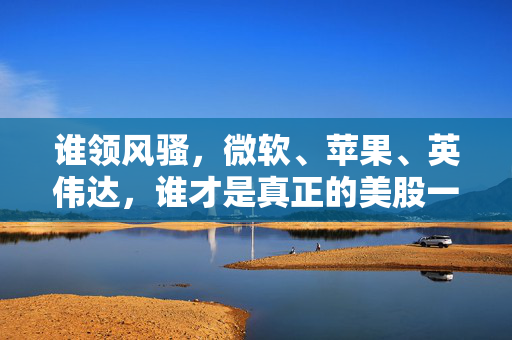 谁领风骚，微软、苹果、英伟达，谁才是真正的美股一哥？
