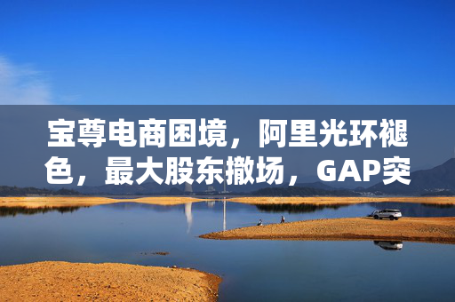 宝尊电商困境，阿里光环褪色，最大股东撤场，GAP突围之路探索