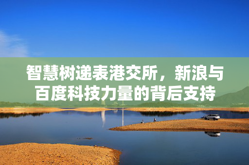 智慧树递表港交所，新浪与百度科技力量的背后支持