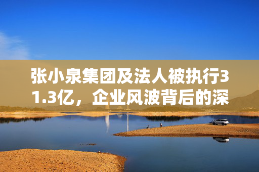 张小泉集团及法人被执行31.3亿，企业风波背后的深度解析