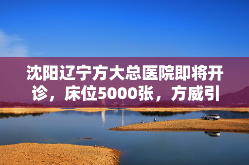 沈阳辽宁方大总医院即将开诊，床位5000张，方威引领医疗新篇章
