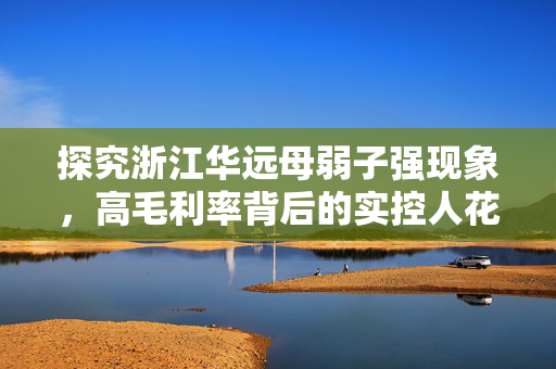 探究浙江华远母弱子强现象，高毛利率背后的实控人花式套现