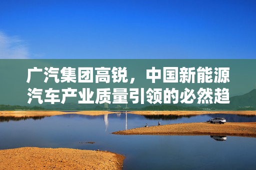 广汽集团高锐，中国新能源汽车产业质量引领的必然趋势
