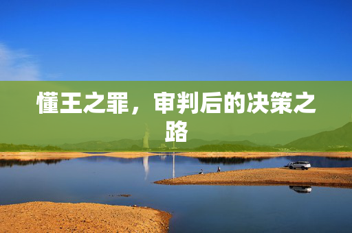 懂王之罪，审判后的决策之路