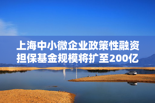 上海中小微企业政策性融资担保基金规模将扩至200亿元