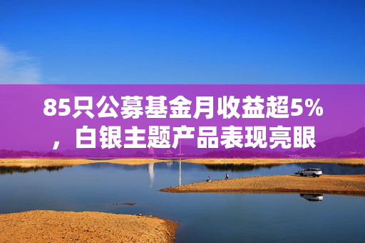 85只公募基金月收益超5%，白银主题产品表现亮眼