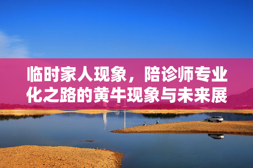 临时家人现象，陪诊师专业化之路的黄牛现象与未来展望