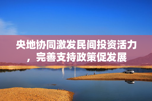 央地协同激发民间投资活力，完善支持政策促发展