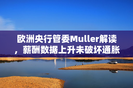 欧洲央行管委Muller解读，薪酬数据上升未破坏通胀回落势头