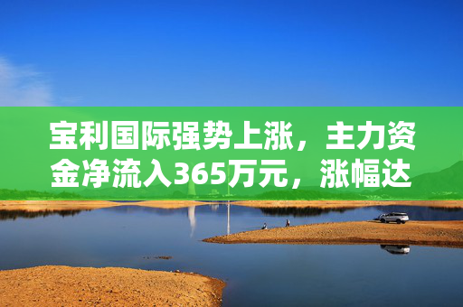 宝利国际强势上涨，主力资金净流入365万元，涨幅达5.52%的背后原因分析