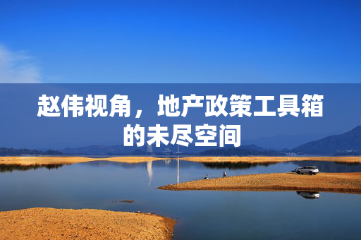 赵伟视角，地产政策工具箱的未尽空间