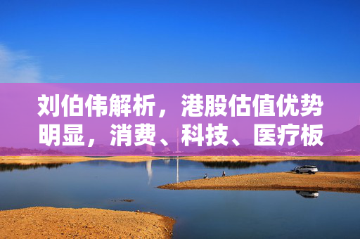 刘伯伟解析，港股估值优势明显，消费、科技、医疗板块值得关注