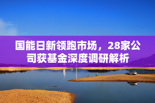 国能日新领跑市场，28家公司获基金深度调研解析