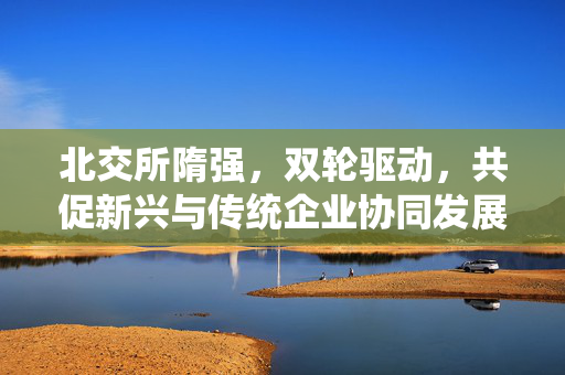 北交所隋强，双轮驱动，共促新兴与传统企业协同发展