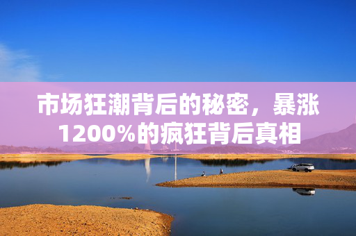 市场狂潮背后的秘密，暴涨1200%的疯狂背后真相