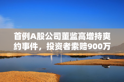 首例A股公司董监高增持爽约事件，投资者索赔900万深度解析