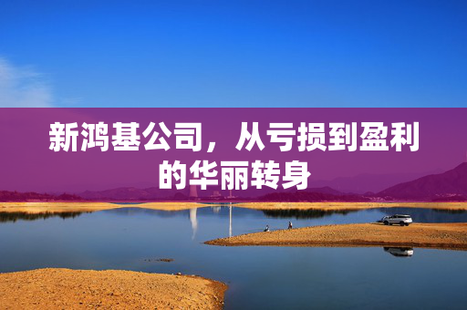 新鸿基公司，从亏损到盈利的华丽转身