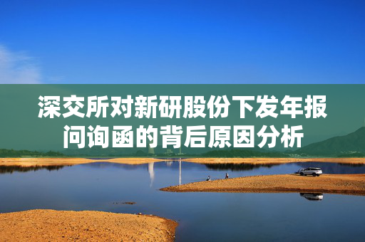 深交所对新研股份下发年报问询函的背后原因分析