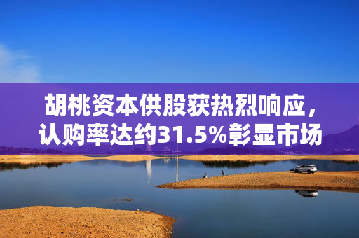 胡桃资本供股获热烈响应，认购率达约31.5%彰显市场信心