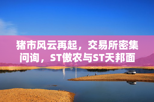 猪市风云再起，交易所密集问询，ST傲农与ST天邦面临严峻考验