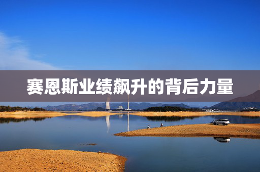 赛恩斯业绩飙升的背后力量