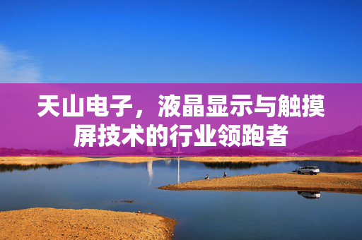 天山电子，液晶显示与触摸屏技术的行业领跑者