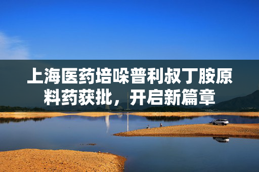 上海医药培哚普利叔丁胺原料药获批，开启新篇章