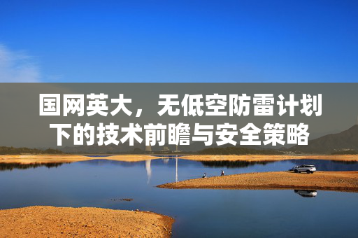 国网英大，无低空防雷计划下的技术前瞻与安全策略