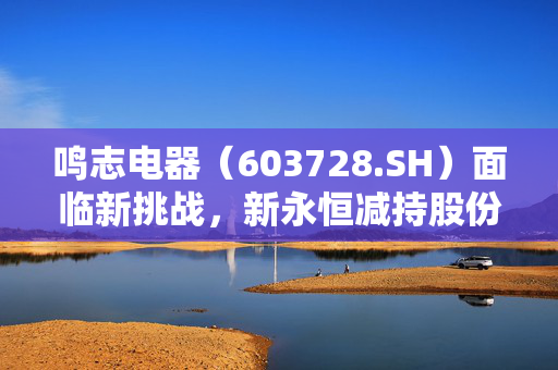 鸣志电器（603728.SH）面临新挑战，新永恒减持股份背后的深层原因分析