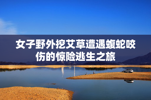 女子野外挖艾草遭遇蝮蛇咬伤的惊险逃生之旅